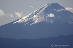 EOS5DsR+EF100-400mmF4.5-5.6L ISⅡUSM 400mm f6.3 1/500sec ISO100 PLフィルター
