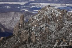 EOS5DsR+EF100-400mmF4.5-5.6L ISⅡUSM 400mm f6.3 1/320sec ISO100 PLフィルター