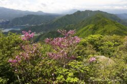 EOS5DsR+EF24-70mmF2.8LⅡUSM 28mm f16 1/20sec
ISO100 PLフィルター