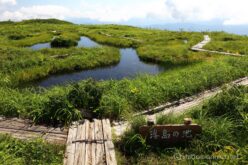 EOS5DsR+EF24-70mmF2.8LⅡUSM 28mm f16 1/30sec ISO100 PLフィルター