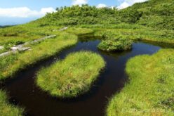 EOS5DsR+EF24-70mmF2.8LⅡUSM 28mm f16 1/15sec ISO100 PLフィルター