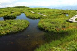 EOS5DsR+EF24-70mmF2.8LⅡUSM 31mm f16 1/25sec ISO100 PLフィルター