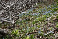 EOS5D MarkⅡ+EF24-105mmF4L IS USM 60mm f16 1/30sec ISO200 PLフィルター