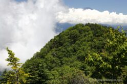 EOS5DsR+EF24-70mmF2.8LⅡUSM 70mm f16 1/30sec ISO100 PLフィルター