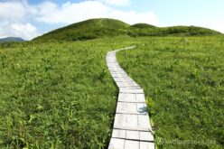 EOS5DsR+EF24-70mmF2.8LⅡUSM 30mm f11 1/50sec ISO100 PLフィルター