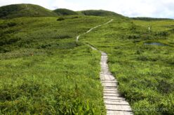 EOS5DsR+EF24-70mmF2.8LⅡUSM 44mm f11 1/50sec ISO100 PLフィルター