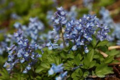 EOS5D MarkⅡ+EF24-105mmF4L IS USM 105mm f8 1/180sec ISO200 PLフィルター