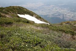 シャクナゲ越しに大地を見下ろす。