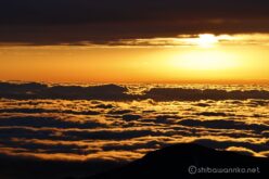 EOS R5+RF100-400mm F5.6-8 IS USM 214mm f9 1/250sec ISO100 PLフィルター