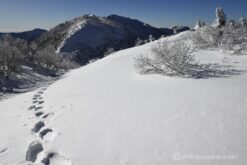 EOS R5+RF24-70mmF2.8L IS USM 27mm f11 1/320sec ISO100 PLフィルター