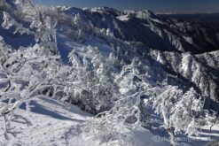 EOS R5+RF24-70mmF2.8L IS USM 27mm f11 1/200sec ISO100 PLフィルター