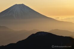 EOS R5+RF100-400mm F5.6-8 IS USM 236mm f11 1/80sec ISO100 PLフィルター