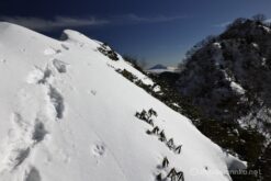 EOS R5+RF24-70mmF2.8L IS USM 24mm f11 1/250sec ISO100 PLフィルター