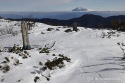 EOS R5+RF24-70mmF2.8L IS USM 50mm f11 1/250sec ISO100 PLフィルター