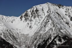 EOS R5+RF100-400mm F5.6-8 IS USM 149mm f8 1/800sec ISO100 PLフィルター