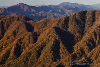 EOS R5+RF100-500mm F4.5-7.1L IS USM 135mm f8 1/50sec ISO100 PLフィルター