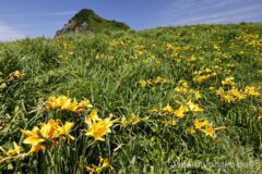 EOS R5+RF24-70mmF2.8L IS USM 24mm f16 1/40sec ISO100 PLフィルター