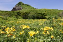 EOS R5+RF24-70mmF2.8L IS USM 29mm f16 1/25sec ISO100 PLフィルター