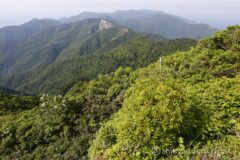 EOS R5+RF24-70mmF2.8L IS USM 24mm f11 1/40sec ISO100 PLフィルター