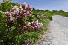 EOS R5+RF24-70mmF2.8L IS USM 43mm f8 1/125sec ISO100 PLフィルター