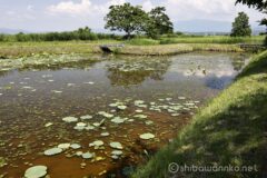 EOS R5+RF24-70mmF2.8L IS USM 34mm f11 1/40sec ISO100 PLフィルター