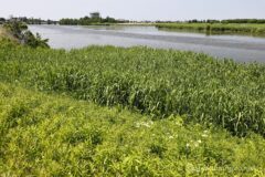 EOS R5+RF24-70mmF2.8L IS USM 46mm f16 1/20sec ISO100 PLフィルター