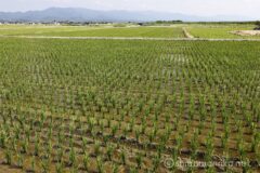 EOS R5+RF24-70mmF2.8L IS USM 29mm f16 1/15sec ISO100 PLフィルター