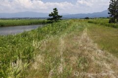 EOS R5+RF24-70mmF2.8L IS USM 38mm f11 1/60sec ISO100 PLフィルター