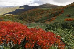 EOS R5+RF24-70mmF2.8L IS USM 24mm f16 1/13sec ISO100 PLフィルター