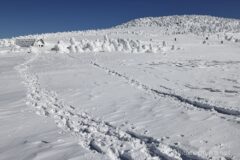 西吾妻小屋が真っ白く、お菓子のハウスのようになっていた。