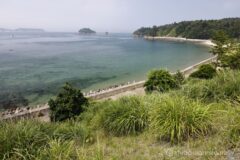 ホエールタウンおしかを出ると、強烈な夏の日差しが照りつける。これはもう、命の危険を感じる灼熱ライドだ。一刻も早くスタート地点の石巻に戻らないと死んでしまうくらい海岸線をすべてなぞって帰ろうかと思ったが、ムリムリ却下。
最短ルートの県道2号線をひたすら北上することにした。これでも「牡鹿半島一周」と言ってもいいだろう。